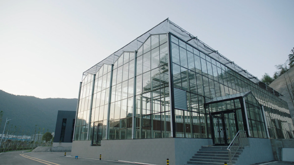 大国战略博弈生物制造，合成生物企业如何把握百年机遇？